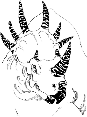 Styracosaurus Head Coloring Page